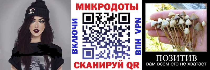 Галлюциногенные грибы мухоморы  наркота  Сергач 