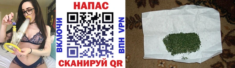 Бошки Шишки MAZAR  ссылка на мегу   Сергач 